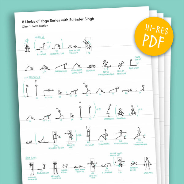 Visual Class Overviews – '8 Limbs of Yoga' course by Surinder Singh - Eva-Lotta's Shop